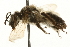 ( - JSYKB-088)  @14 [ ] CreativeCommons - Attribution (2010) Unspecified Centre for Biodiversity Genomics