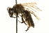  ( - JSYKB-090)  @14 [ ] CreativeCommons - Attribution (2010) Unspecified Centre for Biodiversity Genomics