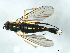  ( - YUKIN-0012)  @12 [ ] CreativeCommons - Attribution (2010) Unspecified Centre for Biodiversity Genomics