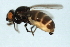  ( - YUKIN-0082)  @12 [ ] CreativeCommons - Attribution (2010) Unspecified Centre for Biodiversity Genomics