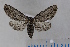  ( - NAP_7864SWRS)  @13 [ ] No Rights Reserved  Unspecified Unspecified