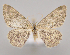  ( - MM27997)  @11 [ ] by-nc (2023) Jari Junnilainen Unspecified