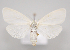  ( - MM28001)  @11 [ ] by-nc (2023) Jari Junnilainen Unspecified