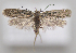  ( - MM28014)  @11 [ ] by-nc (2023) Jari Junnilainen Unspecified