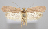  ( - MM28015)  @11 [ ] by-nc (2023) Jari Junnilainen Unspecified