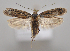  ( - MM28021)  @11 [ ] by-nc (2023) Jari Junnilainen Unspecified