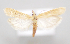  ( - MM28042)  @11 [ ] by-nc (2023) Jari Junnilainen Unspecified