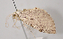  ( - MM28050)  @11 [ ] by-nc (2023) Jari Junnilainen Unspecified