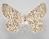  ( - MM28063)  @11 [ ] by-nc (2023) Jari Junnilainen Unspecified