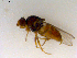  ( - 10PROBE-09617)  @12 [ ] CreativeCommons - Attribution (2011) CBG Photography Group Centre for Biodiversity Genomics