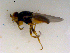  ( - 10PROBE-09620)  @13 [ ] CreativeCommons - Attribution (2011) CBG Photography Group Centre for Biodiversity Genomics