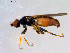  ( - 10PROBE-09636)  @13 [ ] CreativeCommons - Attribution (2011) CBG Photography Group Centre for Biodiversity Genomics