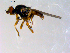  ( - 10PROBE-09643)  @13 [ ] CreativeCommons - Attribution (2011) CBG Photography Group Centre for Biodiversity Genomics