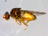  ( - 10PROBE-09646)  @12 [ ] CreativeCommons - Attribution (2011) CBG Photography Group Centre for Biodiversity Genomics