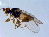  ( - 10PROBE-09652)  @13 [ ] CreativeCommons - Attribution (2011) CBG Photography Group Centre for Biodiversity Genomics