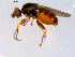  ( - 10PROBE-09677)  @13 [ ] CreativeCommons - Attribution (2011) CBG Photography Group Centre for Biodiversity Genomics