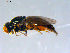  ( - 10PROBE-07752)  @13 [ ] CreativeCommons - Attribution (2011) CBG Photography Group Centre for Biodiversity Genomics