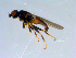  ( - 10PROBE-09319)  @13 [ ] CreativeCommons - Attribution (2011) CBG Photography Group Centre for Biodiversity Genomics