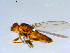  ( - 10PROBE-09322)  @13 [ ] CreativeCommons - Attribution (2011) CBG Photography Group Centre for Biodiversity Genomics