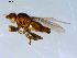  ( - 10PROBE-09323)  @13 [ ] CreativeCommons - Attribution (2011) CBG Photography Group Centre for Biodiversity Genomics