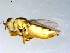  ( - 10PROBE-09478)  @13 [ ] CreativeCommons - Attribution (2011) CBG Photography Group Centre for Biodiversity Genomics