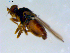  ( - 10PROBE-09586)  @13 [ ] CreativeCommons - Attribution (2011) CBG Photography Group Centre for Biodiversity Genomics