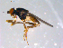  ( - 10PROBE-11448)  @13 [ ] CreativeCommons - Attribution (2011) CBG Photography Group Centre for Biodiversity Genomics