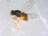  ( - 10PROBE-11451)  @13 [ ] CreativeCommons - Attribution (2011) CBG Photography Group Centre for Biodiversity Genomics