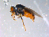  ( - 10PROBE-11487)  @13 [ ] CreativeCommons - Attribution (2011) CBG Photography Group Centre for Biodiversity Genomics