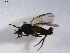  ( - 07PROBE-JW0047)  @12 [ ] CreativeCommons - Attribution (2010) Unspecified Centre for Biodiversity Genomics