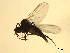  ( - 07PROBE-JW0091)  @13 [ ] CreativeCommons - Attribution (2010) Unspecified Centre for Biodiversity Genomics