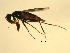  ( - 07PROBE-JW0097)  @12 [ ] CreativeCommons - Attribution (2010) Unspecified Centre for Biodiversity Genomics