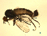  ( - 07PROBE-JW0101)  @13 [ ] CreativeCommons - Attribution (2010) Unspecified Centre for Biodiversity Genomics