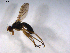  ( - 07PROBE-JW0281)  @12 [ ] CreativeCommons - Attribution (2010) Unspecified Centre for Biodiversity Genomics