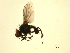  ( - 07PROBE-JW0360)  @12 [ ] CreativeCommons - Attribution (2010) Unspecified Centre for Biodiversity Genomics