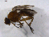  ( - 07PROBE-JW0363)  @13 [ ] CreativeCommons - Attribution (2010) Unspecified Centre for Biodiversity Genomics