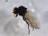  ( - 07PROBE-JW0422)  @13 [ ] CreativeCommons - Attribution (2010) Unspecified Centre for Biodiversity Genomics