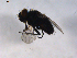  ( - 07PROBE-JW0427)  @12 [ ] CreativeCommons - Attribution (2010) Unspecified Centre for Biodiversity Genomics