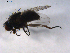  ( - 07PROBE-JW0468)  @13 [ ] CreativeCommons - Attribution (2010) Unspecified Centre for Biodiversity Genomics