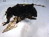  ( - 07PROBE-JW0478)  @12 [ ] CreativeCommons - Attribution (2010) Unspecified Centre for Biodiversity Genomics