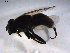  ( - 07PROBE-JW0492)  @11 [ ] CreativeCommons - Attribution (2010) Unspecified Centre for Biodiversity Genomics