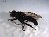  ( - 07PROBE-JW0493)  @12 [ ] CreativeCommons - Attribution (2010) Unspecified Centre for Biodiversity Genomics