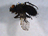  ( - 07PROBE-JW0528)  @12 [ ] CreativeCommons - Attribution (2010) Unspecified Centre for Biodiversity Genomics