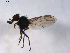  ( - 07PROBE-JW0558)  @12 [ ] CreativeCommons - Attribution (2010) Unspecified Centre for Biodiversity Genomics