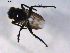  ( - 07PROBE-JW0559)  @12 [ ] CreativeCommons - Attribution (2010) Unspecified Centre for Biodiversity Genomics