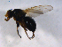  ( - 07PROBE-JW0560)  @13 [ ] CreativeCommons - Attribution (2010) Unspecified Centre for Biodiversity Genomics