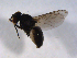  ( - 07PROBE-JW0563)  @12 [ ] CreativeCommons - Attribution (2010) Unspecified Centre for Biodiversity Genomics