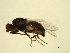  ( - 07PROBE-JW0579)  @13 [ ] CreativeCommons - Attribution (2010) Unspecified Centre for Biodiversity Genomics
