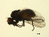  ( - 07PROBE-JW0593)  @12 [ ] CreativeCommons - Attribution (2010) Unspecified Centre for Biodiversity Genomics