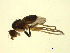  ( - 07PROBE-JW0594)  @13 [ ] CreativeCommons - Attribution (2010) Unspecified Centre for Biodiversity Genomics